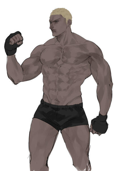 Boxer
